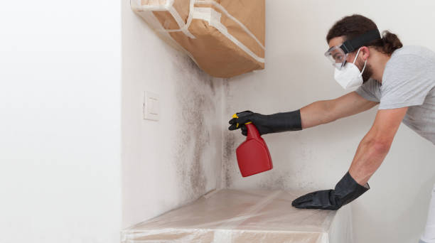 Professional Mold Cleanup technician working in Opa-locka, FL